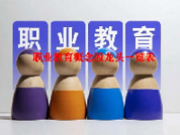 职业教育概念股龙头一览表