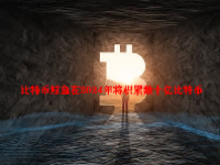比特币鲸鱼在2024年将积累数十亿比特币