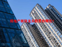 房地产板块龙头股票有哪些？