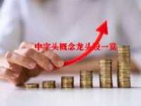 中字头概念龙头股一览