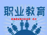 职业教育概念股龙头一览表