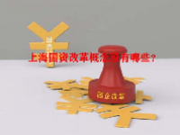 上海国资改革概念股有哪些？