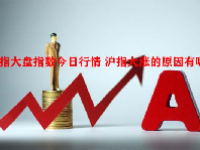 沪指大盘指数今日行情 沪指大涨的原因有哪些？