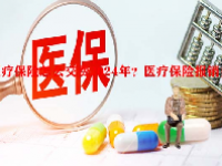 医疗保险怎么交费2024年？医疗保险报销多少？