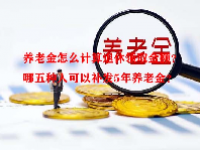 养老金怎么计算退休领取金额？哪五种人可以补发5年养老金？
