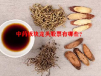 中药板块龙头股票有哪些？