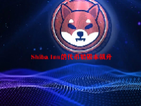 Shiba Inu的代币销毁率飙升