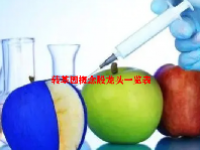 转基因概念股龙头一览表