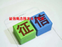 征信概念股龙头一览表