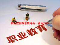 职业教育概念股龙头一览表2024