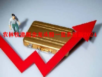农林牧渔概念龙头股一览表最新2024