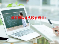 教育板块龙头股有哪些？