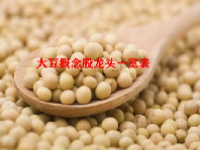 大豆概念股龙头一览表