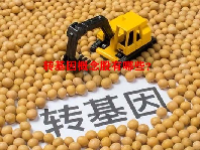 转基因概念股有哪些？