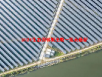 2024生态园林概念股一览表最新