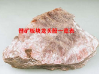 锂矿板块龙头股一览表