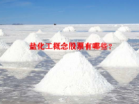 盐化工概念股票有哪些？