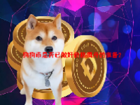 狗狗币是否已做好价格飙升的准备？