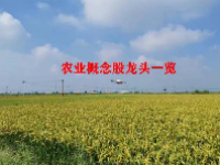 农业概念股龙头一览