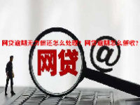 网贷逾期无力偿还怎么处理？网贷逾期怎么催收？