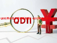 QDII基金是公募还是私募？QDII基金适合定投吗？