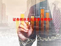证券板块龙头股票有哪些？
