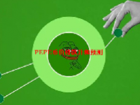 PEPE币价格飙升和预测