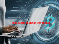 比特币的价格动态和分析师预测