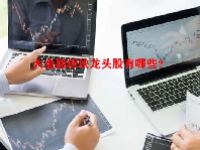 大金融板块龙头股有哪些？
