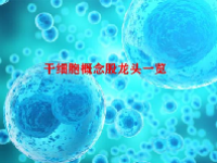干细胞概念股龙头一览