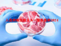 人造肉概念股龙头一览表最新2024