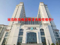 民营医院概念股龙头股有哪些？