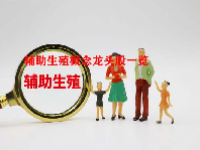 辅助生殖概念龙头股一览