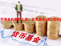货币基金份额怎么算？货币基金a类b类的区别？