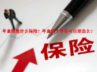 年金险是什么保险？年金险十年后可以取出么？