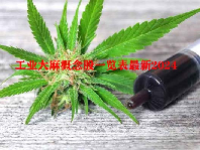 工业大麻概念股一览表最新2024