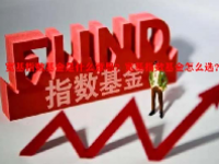 宽基指数基金是什么意思？宽基指数基金怎么选？