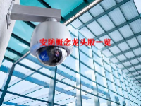 安防概念龙头股一览