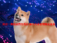 经过一周的激烈交易后 柴犬代币呈现稳定走势