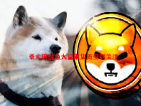 柴犬因鲸鱼大量聚集而受到关注