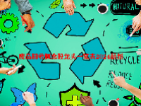 废品回收概念股龙头一览表2024最新