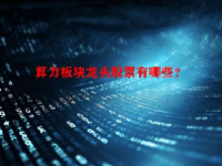 算力板块龙头股票有哪些？