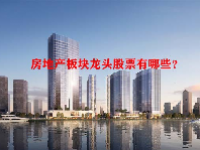 房地产板块龙头股票有哪些？