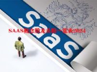SAAS概念股龙头股一览表2024