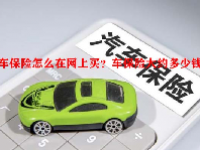 车保险怎么在网上买？车保险大约多少钱？