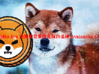 Shiba Inu 的加密货币排名前10名被 Avalanche (AVAX) 取代