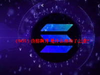  (SOL) 价格飙升 是什么推动了上涨？