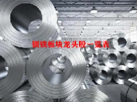 钢铁板块龙头股一览表