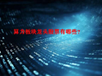 算力板块龙头股票有哪些？