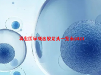 再生医学概念股龙头一览表2024
